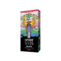 Samen Gelato Autoflowering 3St.