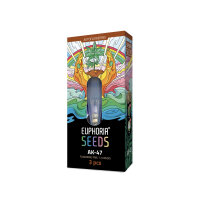 Samen AK47 Autoflowering 3St.